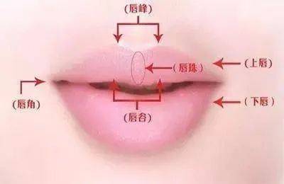 调整|嘟嘟唇、水光唇，告别盲目跟风，唇部可做医美大合集~