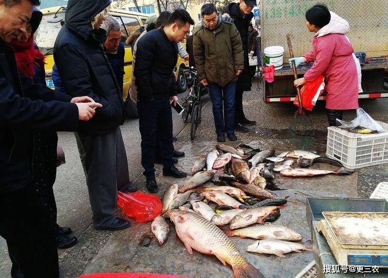 需求|猪价“弱不禁风”，粮价陡然生变，鲤鱼突降50%，蛋价豪气上涨！
