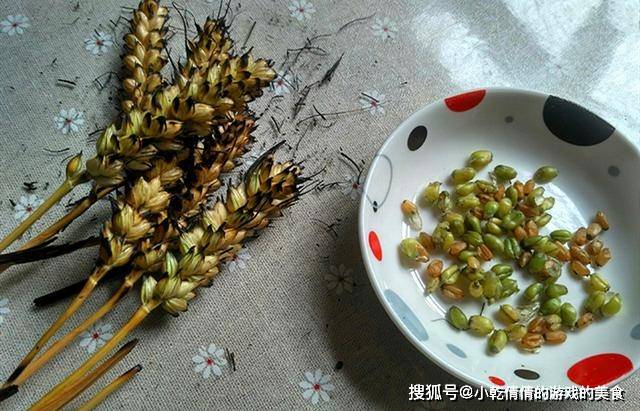 麦香|5月，又到烧麦穗吃的季节，这种童年的美食，你多久没吃了？
