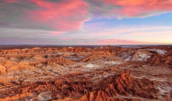 世界上最“神奇”的沙漠，91年间未曾下过雨，一夜之间却成为花海