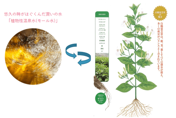 方法|我敢说，这个爽肤水的用法你绝对没用过！