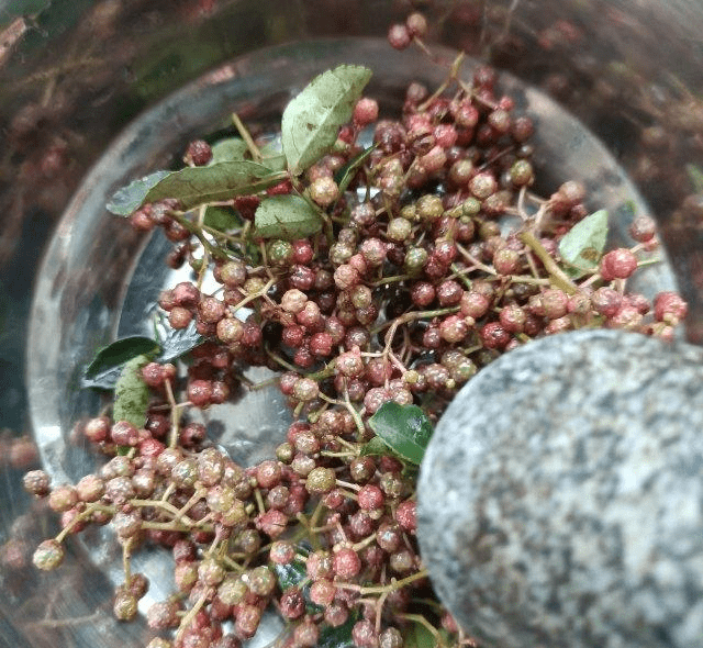 茄子花椒酱 味道鲜美 十分百搭 老公