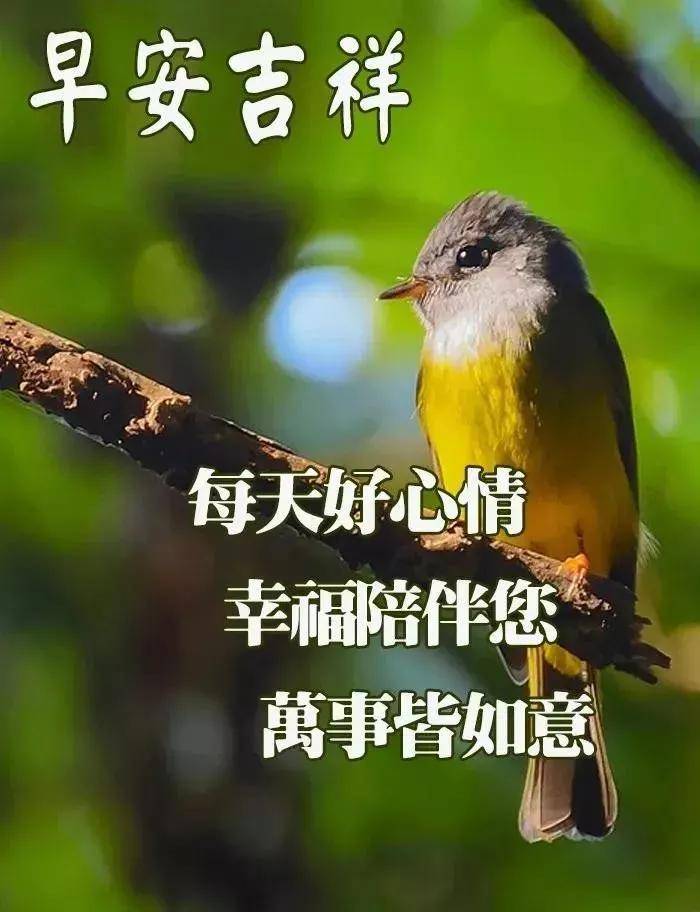 原创最新最火的2021年早安祝福语大全非常漂亮的早安祝福语动态表情