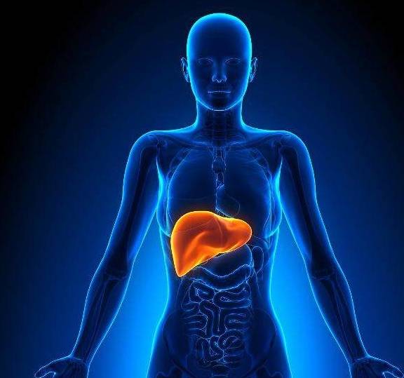 状况|肝不好的人,早餐过后,会有这4个症状,有第2种,就尽早去检查下