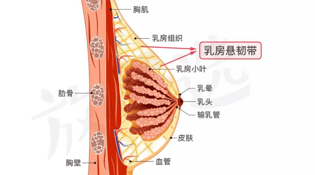 把奶带走了怎么办