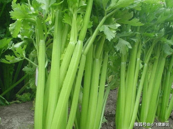 9c792e0d820349c1b4c2f5c75771105d.png