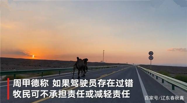 a0986ea4cc1e4c61acf65d51311d980a.jpeg