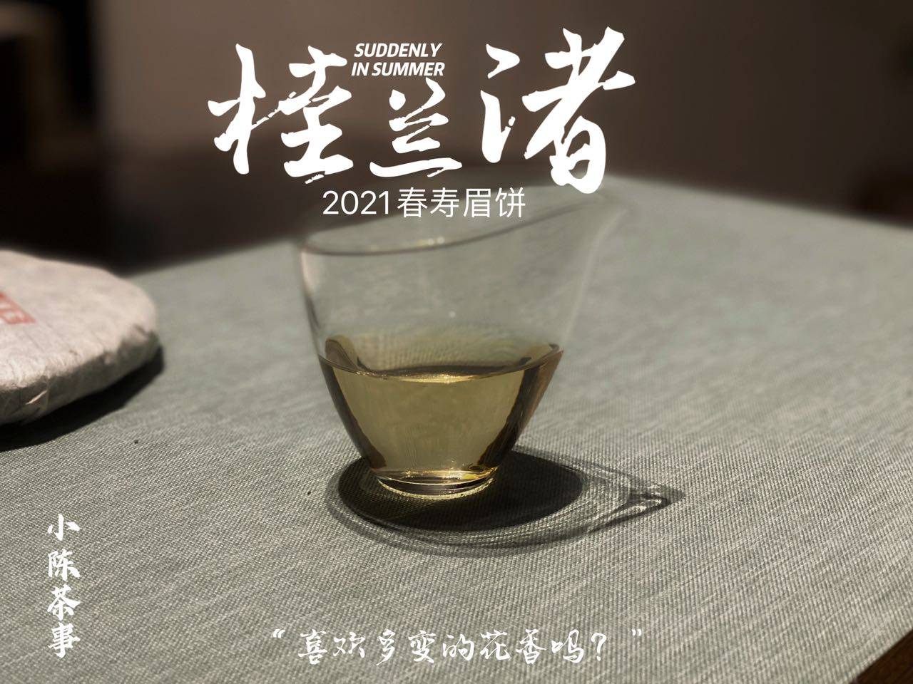 养分|长期收藏白茶，选散茶还是饼茶？两者的转化速度有快慢之分吗？