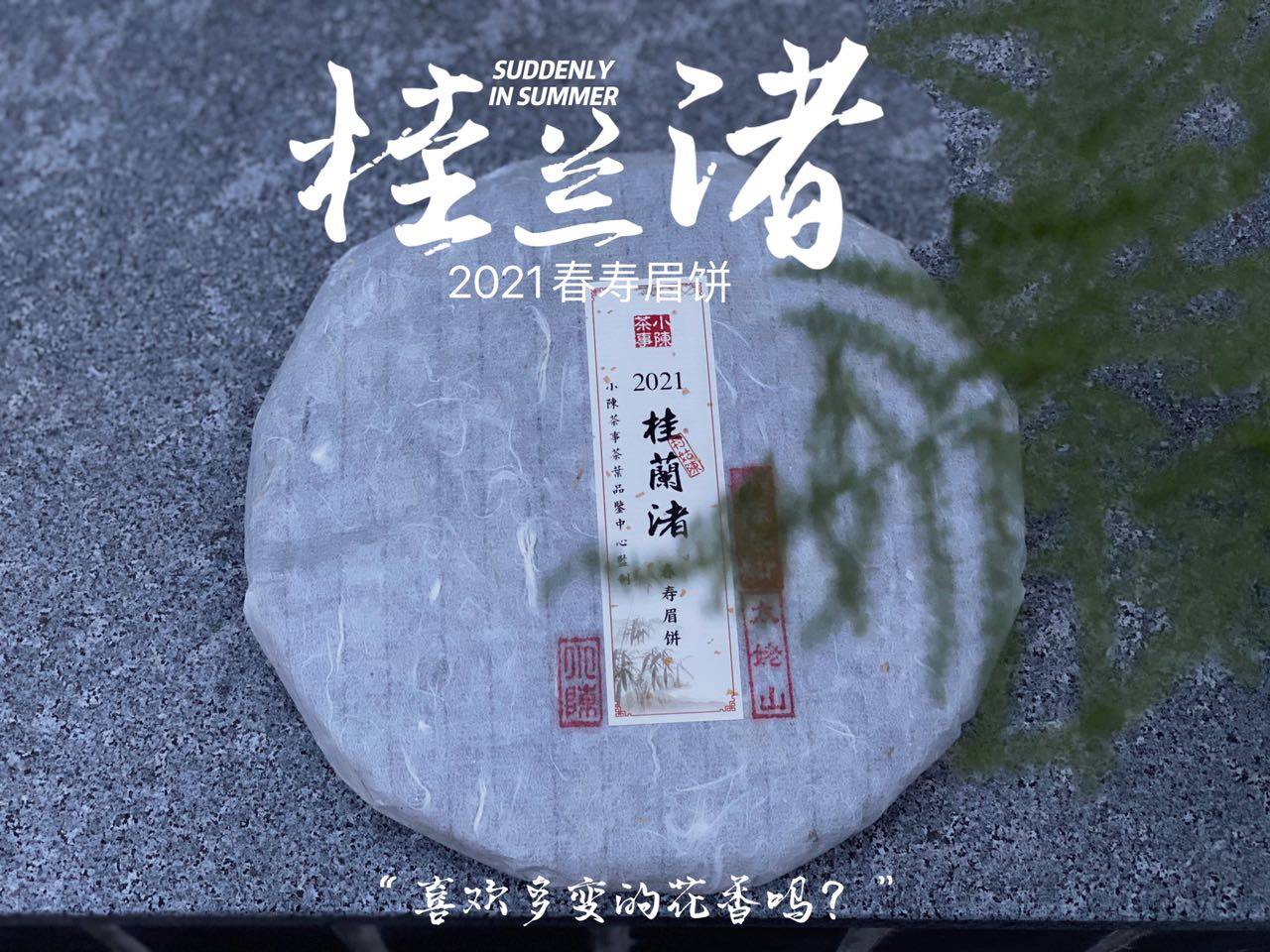 养分|长期收藏白茶，选散茶还是饼茶？两者的转化速度有快慢之分吗？
