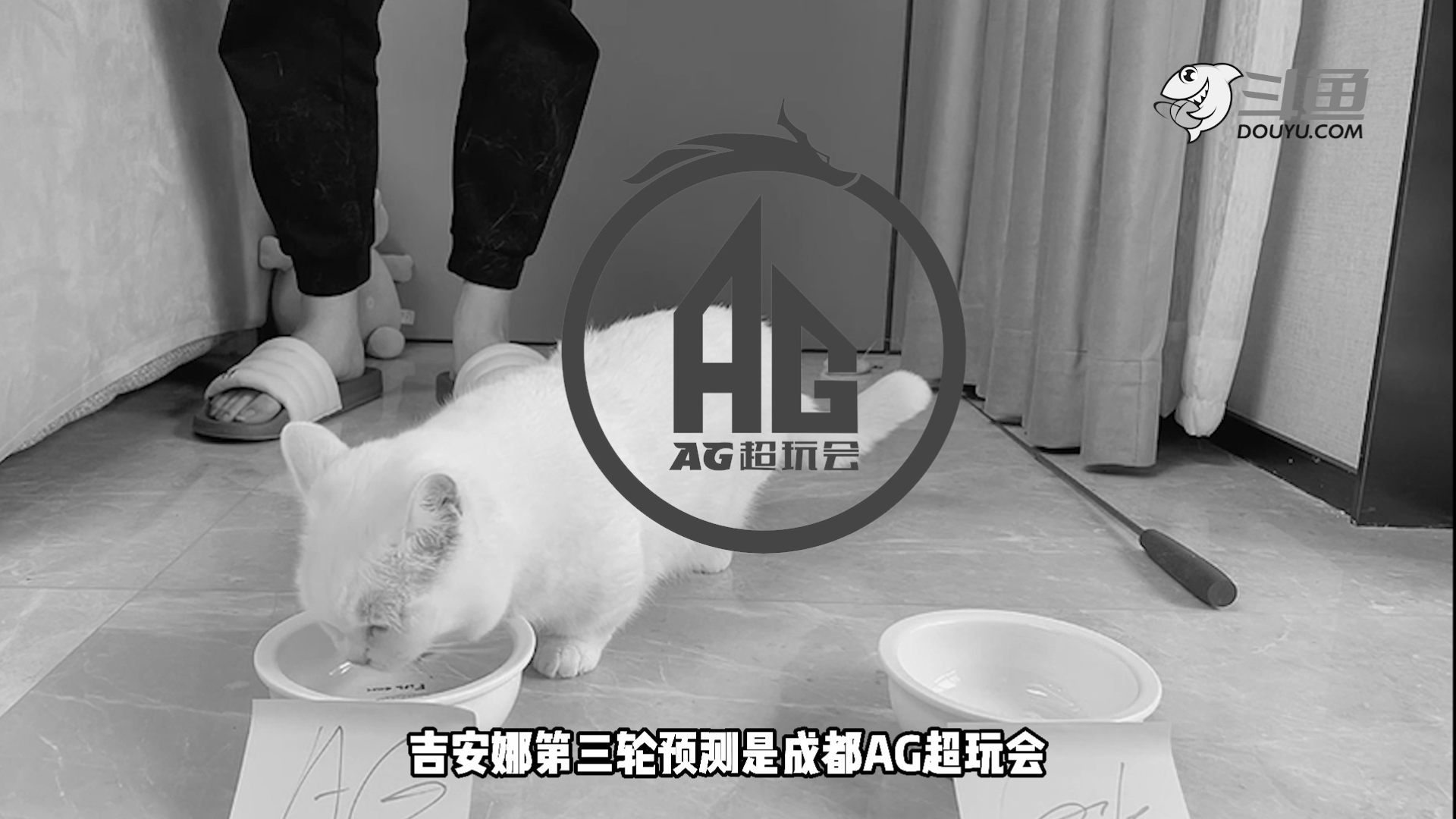 观点评论|猫咪世冠杯轻取三杀，葛大爷幕后大佬太强了，E星这场怎么说？