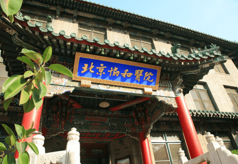 城市面积排行_广东21市排名:东莞珠海亮眼,惠州领先中山