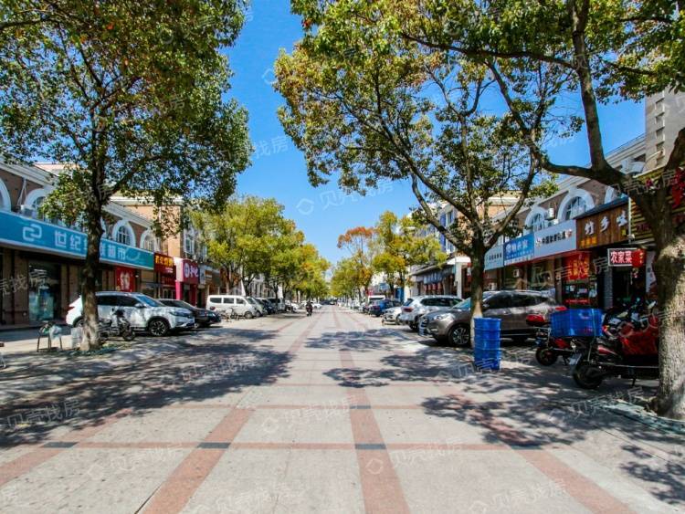 首页上海松江昌鑫花园火的一塌糊涂了解昌鑫花园背后原因以及详情