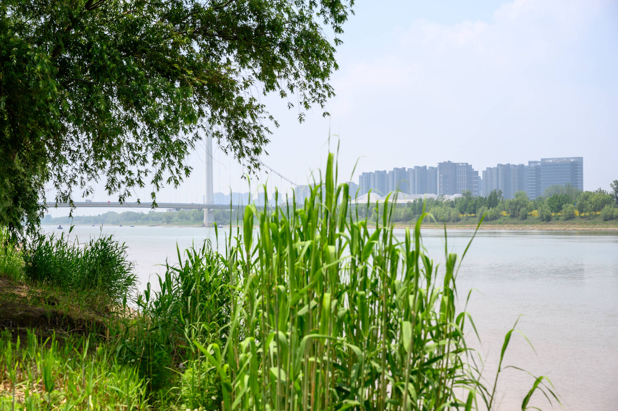 南京滨水绿地公园图片