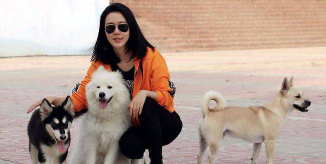 橙色|时尚穿搭橙色外套,配黑色T恤简约舒适,42岁的颜丹晨依旧元气满满