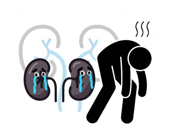 肾脏|尿毒症是如何引起的?这4种行为再不改,肾脏迟早要“报废”!