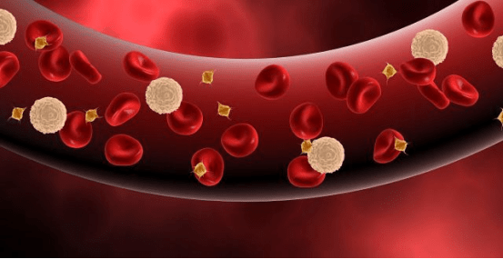 心脑血管|【科普】虾青素心脑血管层面的功效和作用