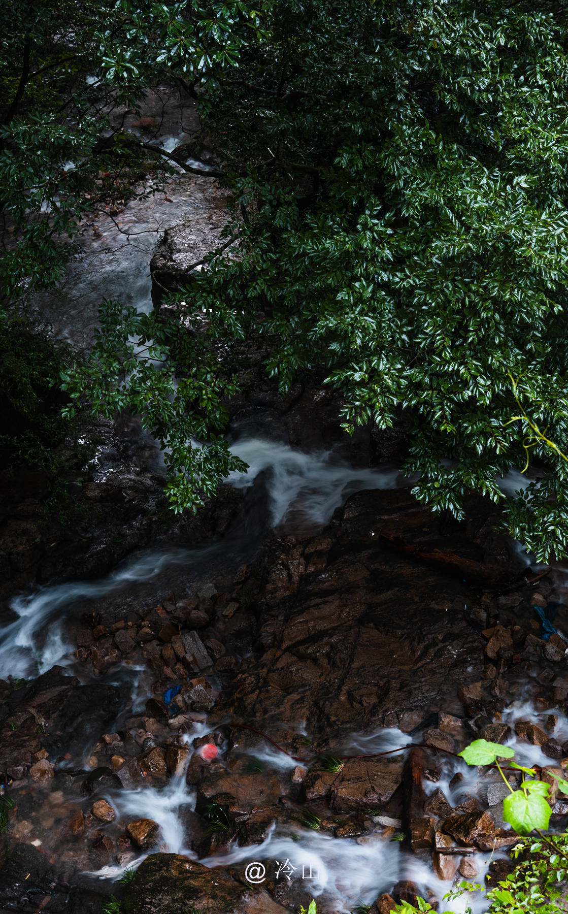 雨后山林图片