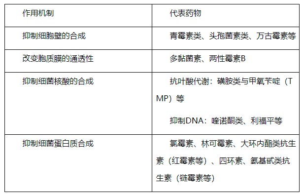 抗生素的作用机制