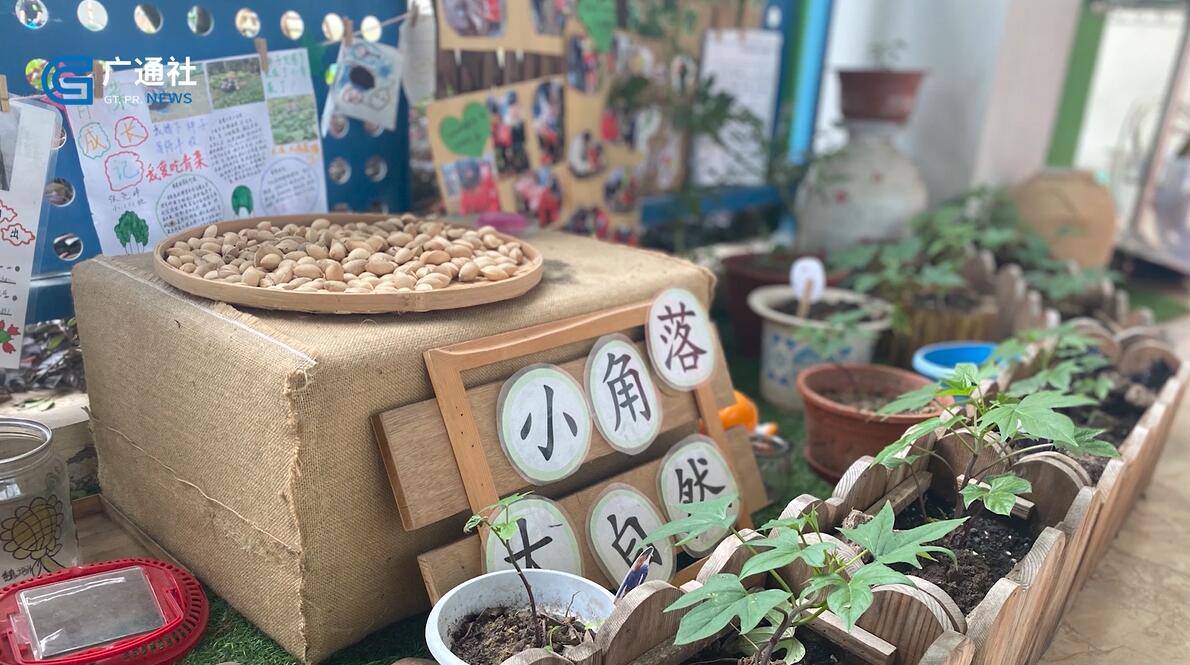 永昌镇|浙江《都市新时空》报道—富阳区永昌镇中心幼儿园