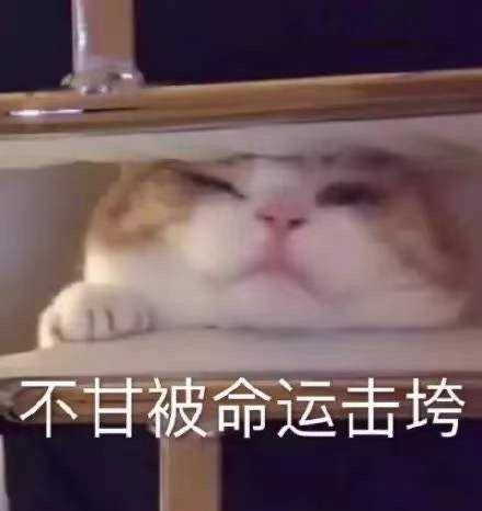 设计|“不务正业”！师范毕业做裁缝，把旗袍一改造直接上了纽约时装周
