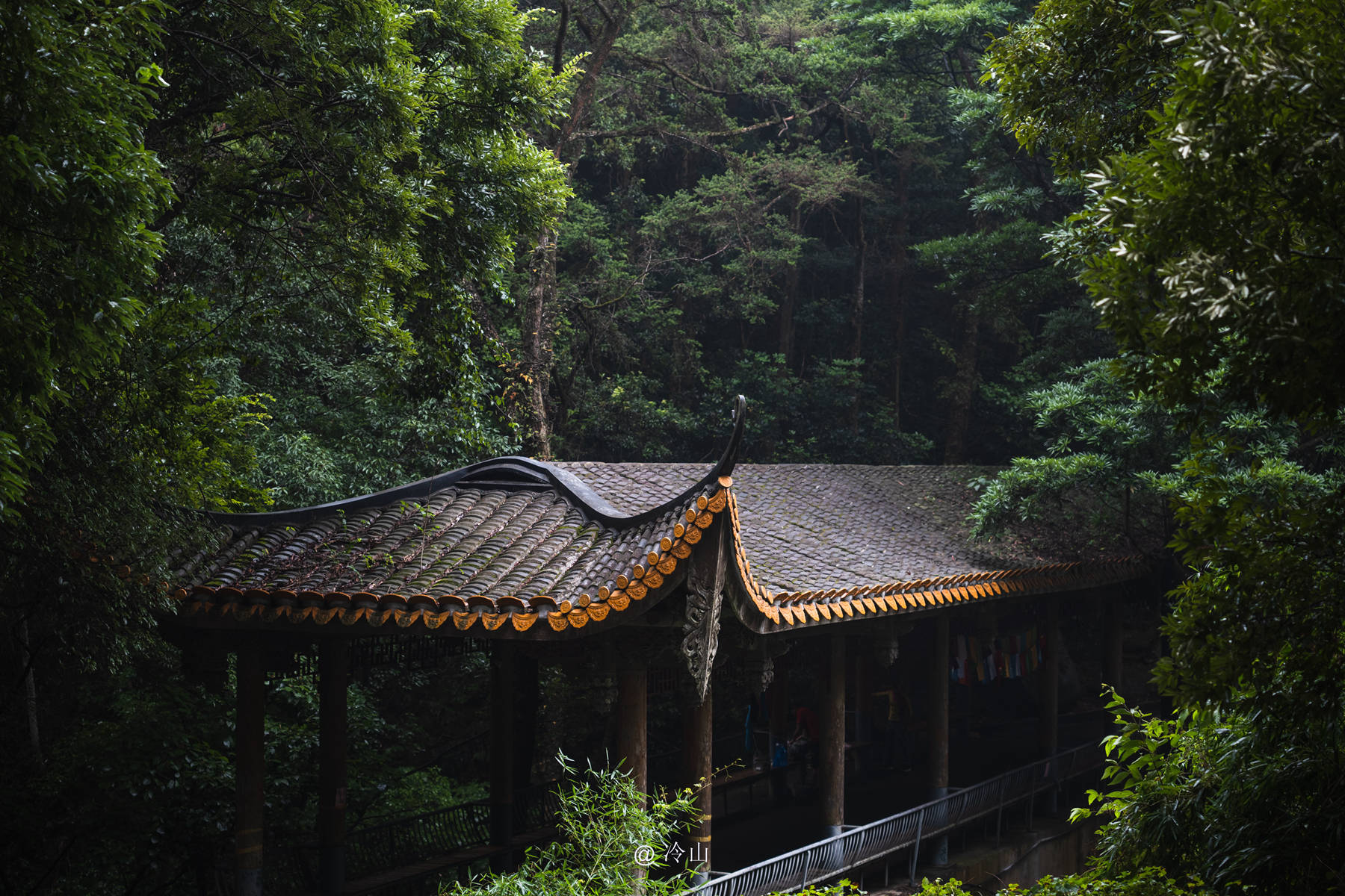 雨后的鼓山,带你走进清新山林