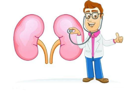 治疗|肾脏风湿的症状有哪些？来了解它的症状和治疗方案