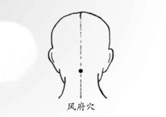 头皮|养发护发诀窍大放送！不做秃头少女！！！