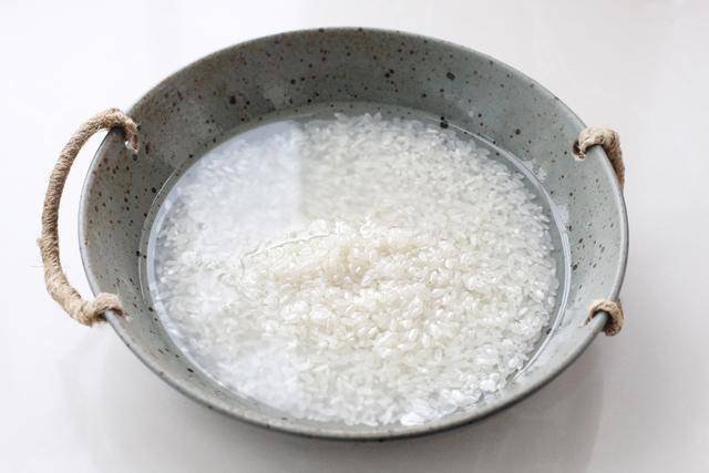 米饭怎么煮成了粘液 97512c30f3f144acbe0a3bc17ce05c07.jpeg