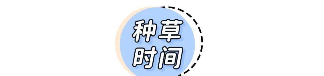 天气|雾霾蓝输了!今年最火的“克莱因蓝”,谁穿谁美!