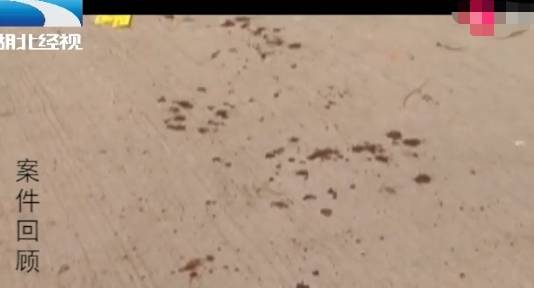 梦境的隐喻，解析梦见别人的血弄在我家床单上了的深层含义