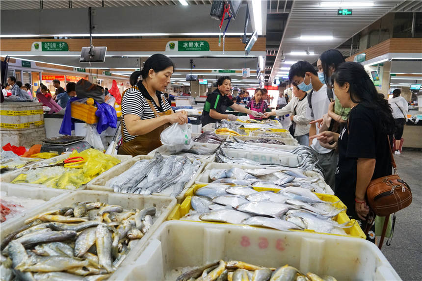 探寻浙江海岛上的海鲜市场，最烟火的人间气息，海鲜都好便宜