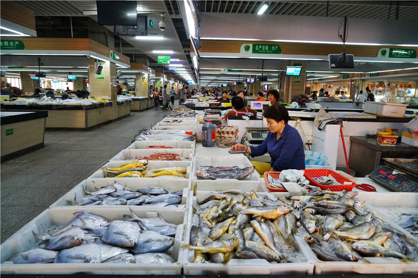 探寻浙江海岛上的海鲜市场，最烟火的人间气息，海鲜都好便宜