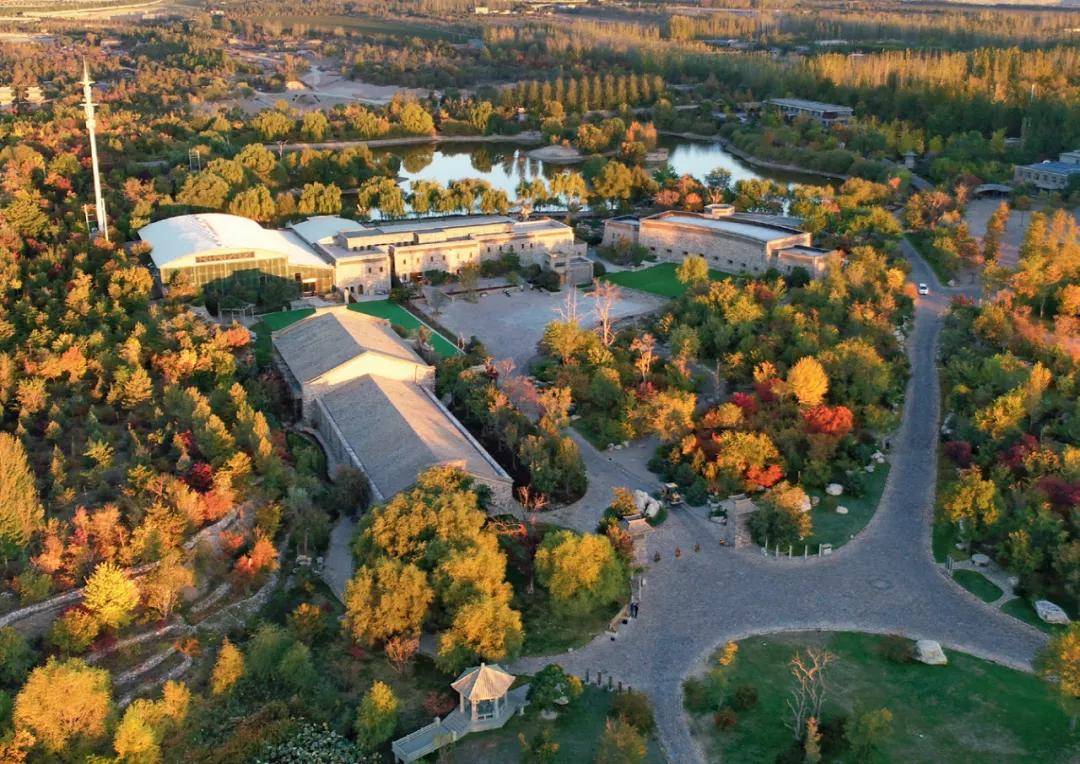 张裕摩|观万亩葡萄长廊,赏贺兰山下酒庄!