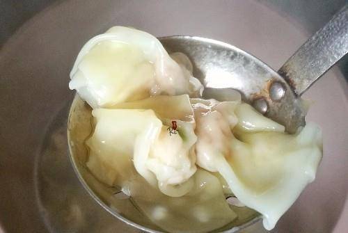加入适量|要吃馄饨自己在家做,任性简单又营养丰富,快快学起来