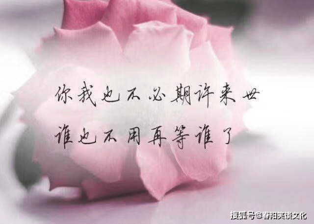 刺心简谱_刺心简谱 找歌谱网(2)