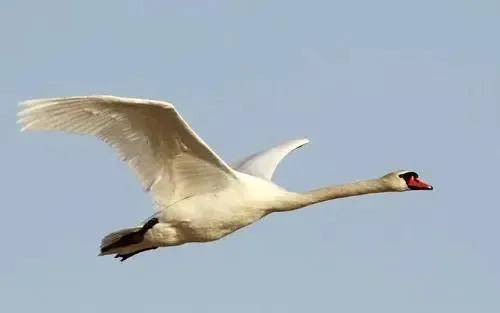 设计|标志设计｜极简，是一种生活态度