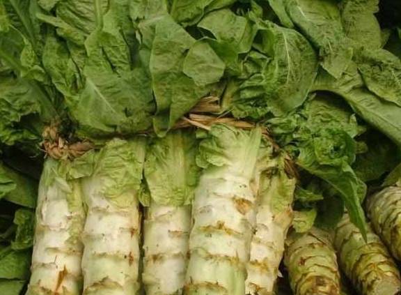 鲫鱼|糖尿病莫要慌，这几种食物，每天吃一点，三个月糖尿病不攻自破！