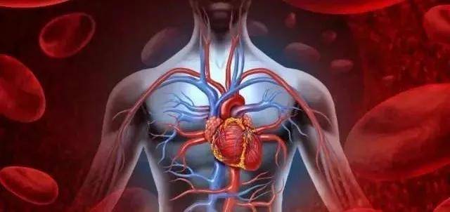 综合征|心血管病/代谢综合征患者速看 一种有效的疾病预防手段