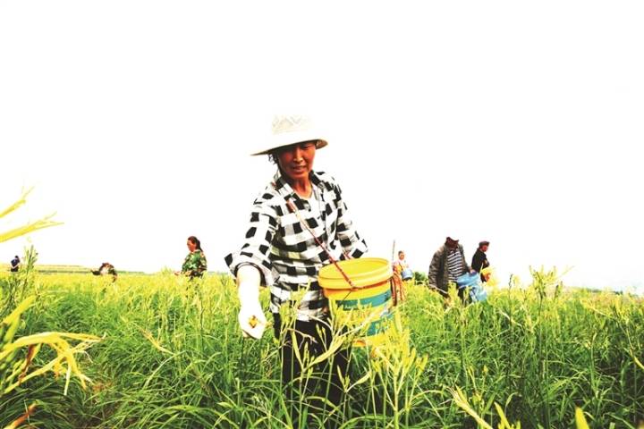 方山县水沟湾村产业兴村庄靓