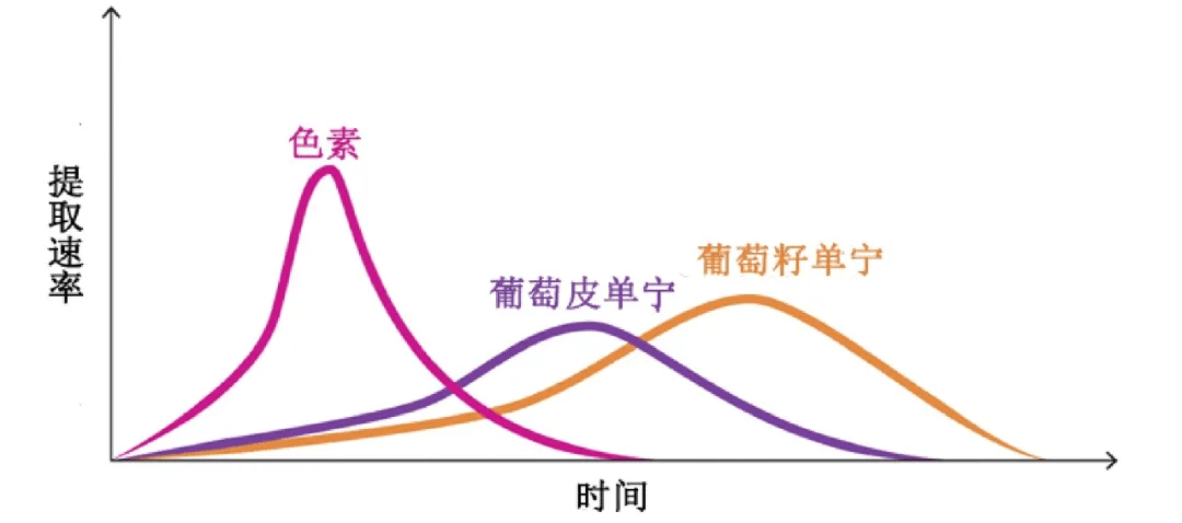 方法|别卡速：格鲁吉亚葡萄酒品酒师课程（十三）