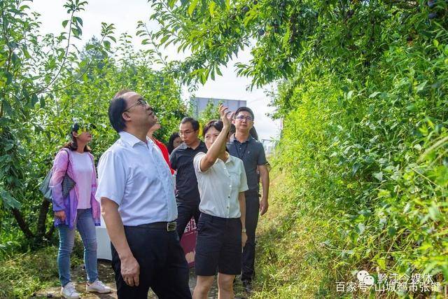 黔江区副区长万宽图片