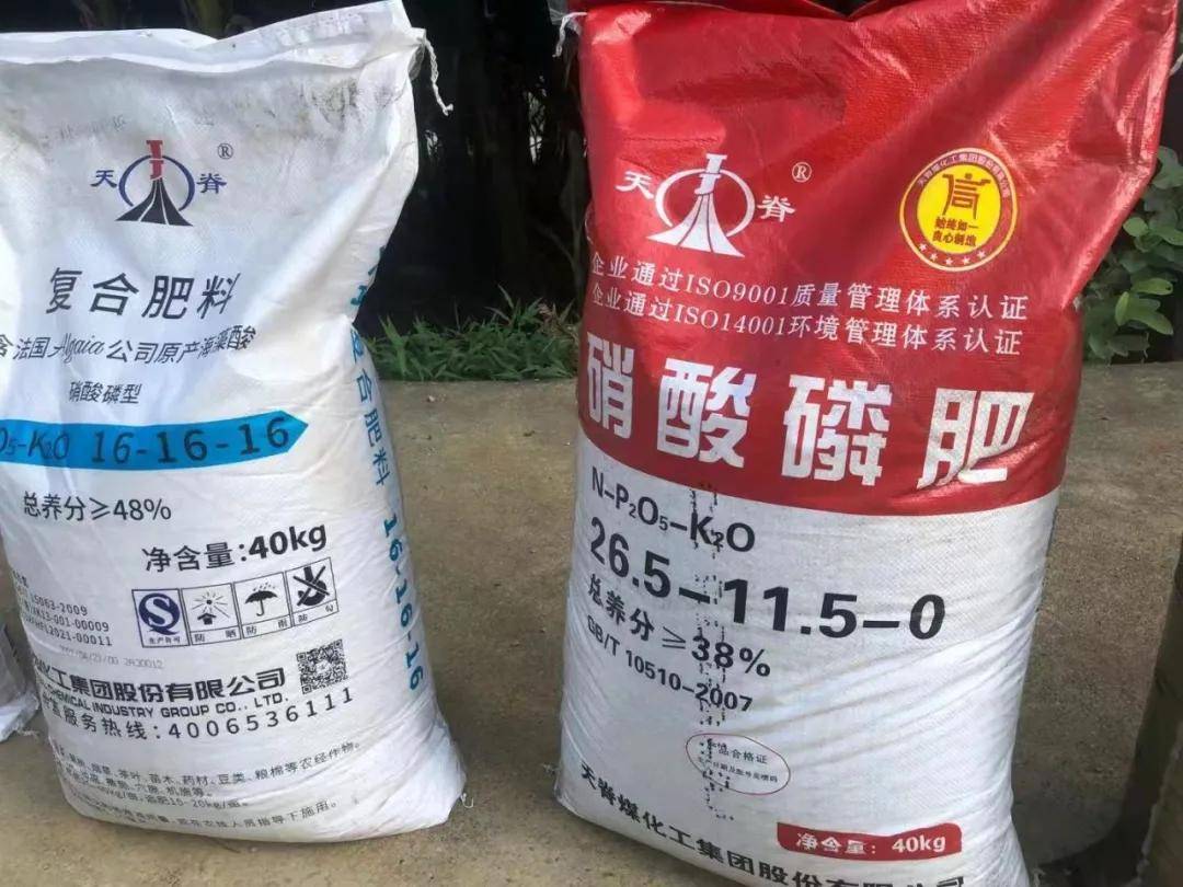 之前施用进口肥时一亩地产6500-7000斤,施用天脊硝酸磷肥后,一株香蕉