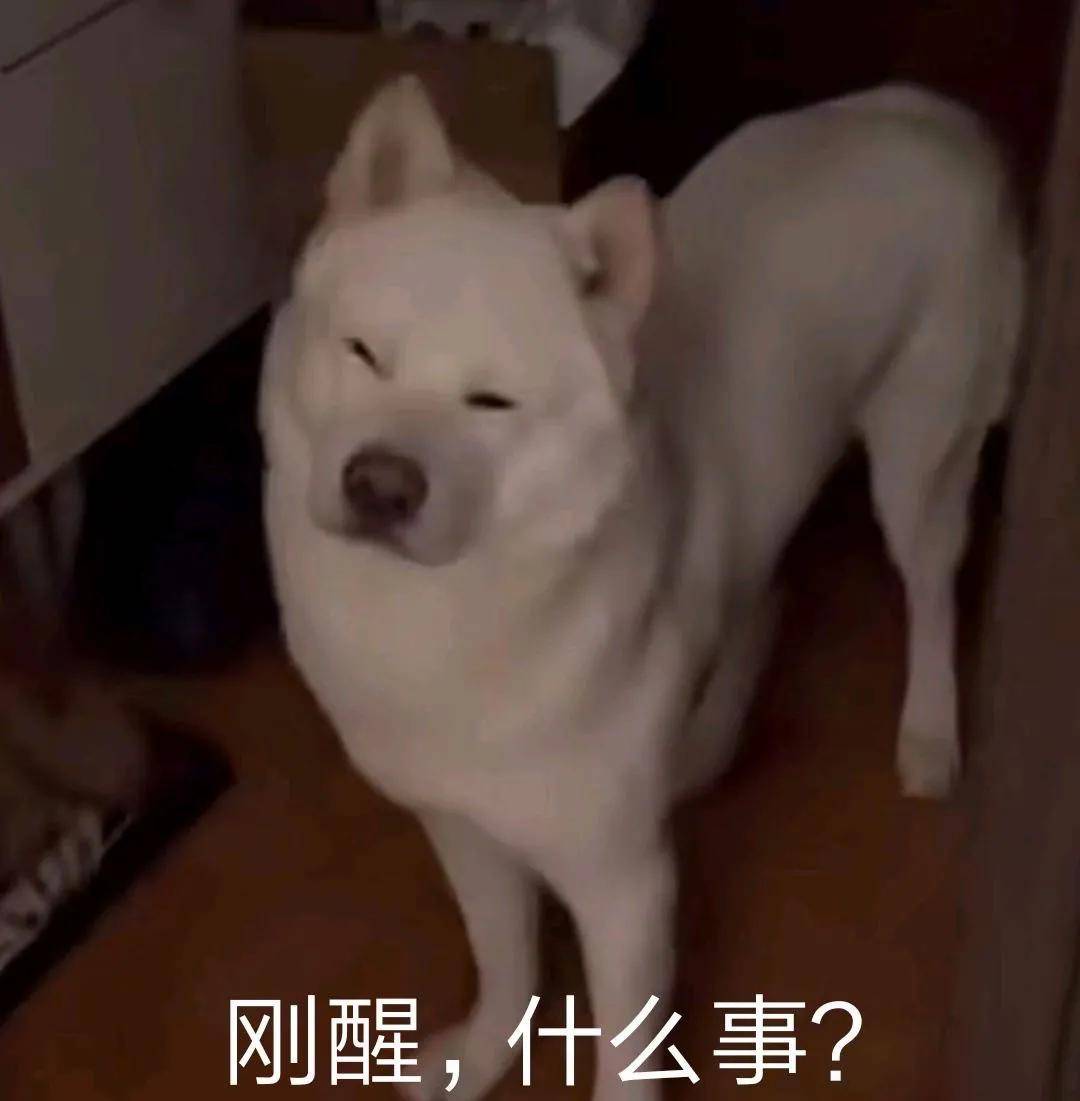 78d59b780d3c4b559a7115de3b98a863.jpeg