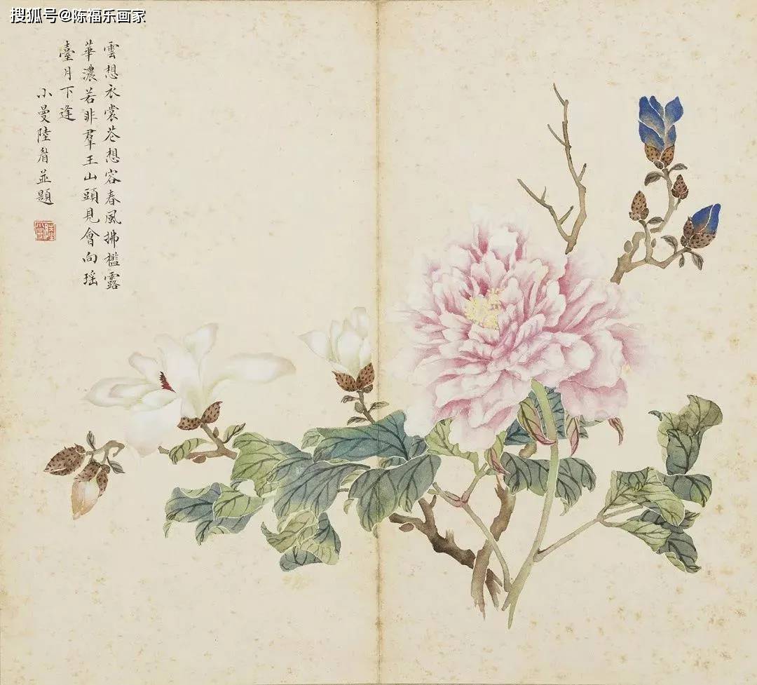 陸小曼 書畫 花卉圖 陆小曼花卉册页，惊艳！_搜狐网