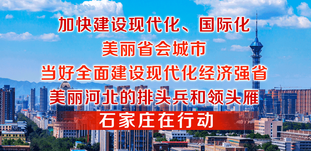 坚持和完善人民代表大会制度的生动实践 ——市十四届人大常委会工作综述