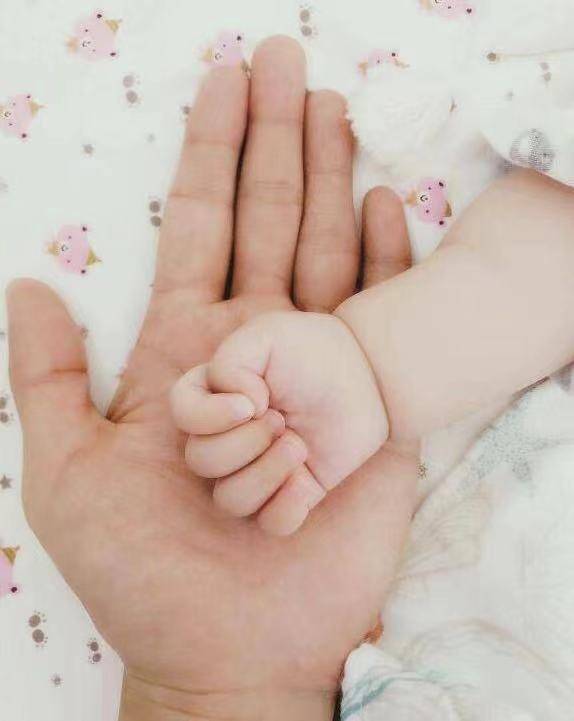 因为|谢娜开工首谈二胎，辟谣宝宝不健康传闻，迟迟不公开喜讯另有原因