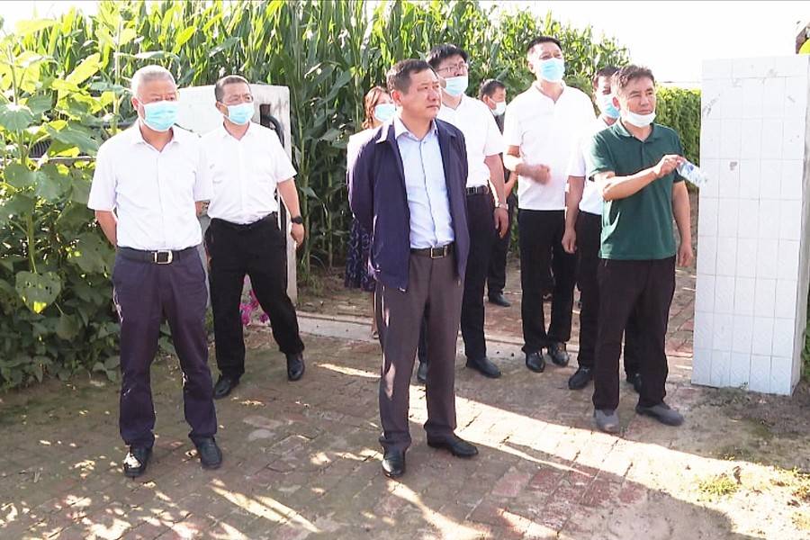 李树国调研巩固拓展脱贫攻坚成果同乡村振兴有效衔接工作