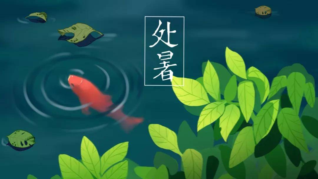 今日处暑:秋燥易伤身,做好几件事,健康一整年