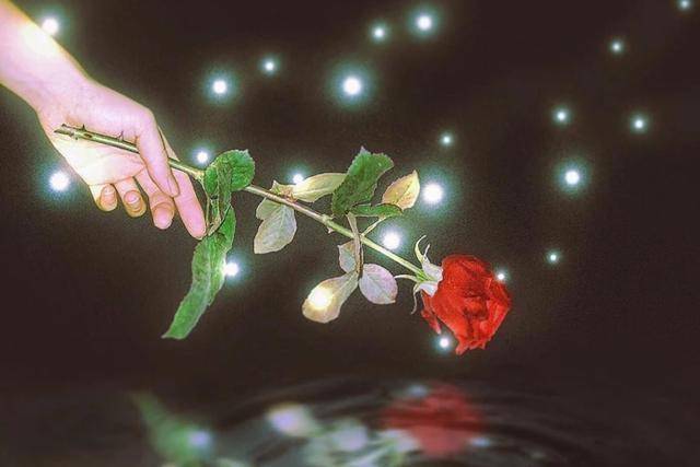 飞蛾扑火的去爱一个人 f128abb504bb451ca4226330f4ea03a0.jpeg