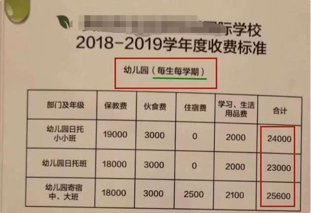 进行|幼儿园的费用有多贵？看完这张“收费单”后，网友：没钱不敢生娃